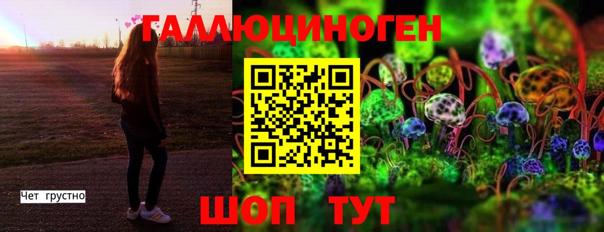 Галлюциногенные грибы мухоморы Ессентуки