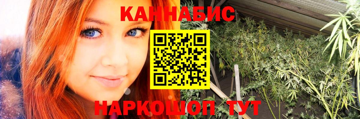 Каннабис конопля Ессентуки